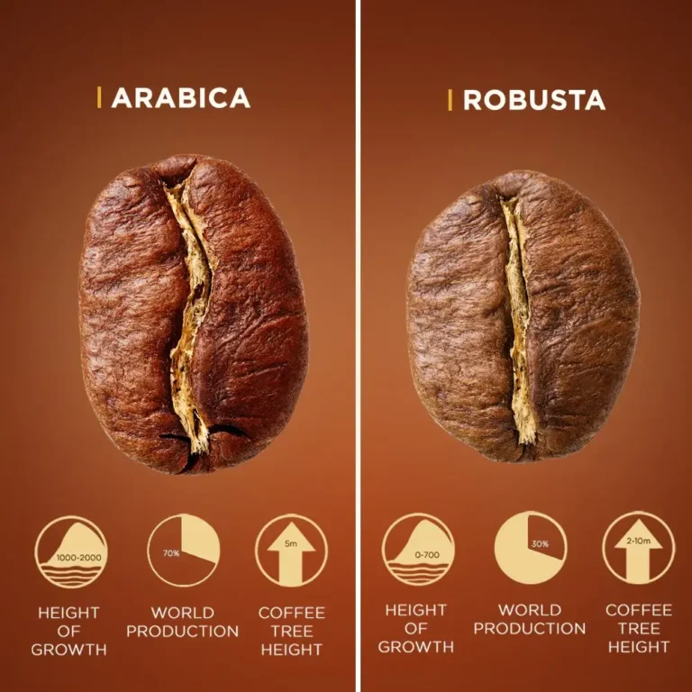 Der Unterschied zwischen Arabica- und Robusta-Kaffee: Welcher ist der Richtige für Sie?